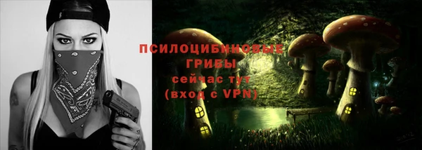 гашик Абдулино